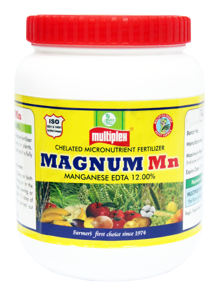 uploads/images/prod/Magnum Mn.png